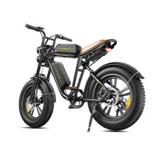 ENGWE M20 750W Motorcycle Electric  Mountain Bike