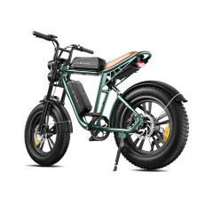 ENGWE M20 750W Motorcycle Electric  Mountain Bike