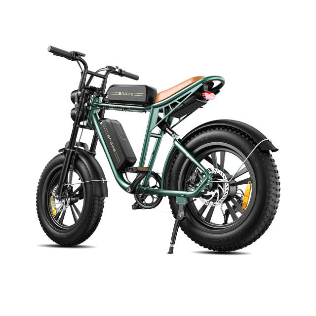 ENGWE M20 750W Motorcycle Electric  Mountain Bike