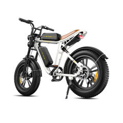 ENGWE M20 750W Motorcycle Electric  Mountain Bike