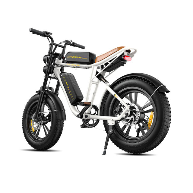 ENGWE M20 750W Motorcycle Electric  Mountain Bike