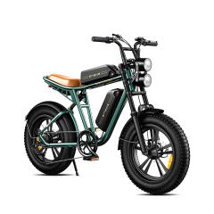 ENGWE M20 750W Motorcycle Electric  Mountain Bike