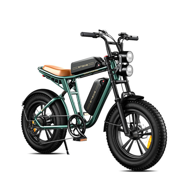ENGWE M20 750W Motorcycle Electric  Mountain Bike