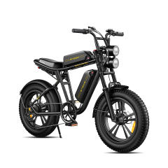 ENGWE M20 750W Motorcycle Electric  Mountain Bike