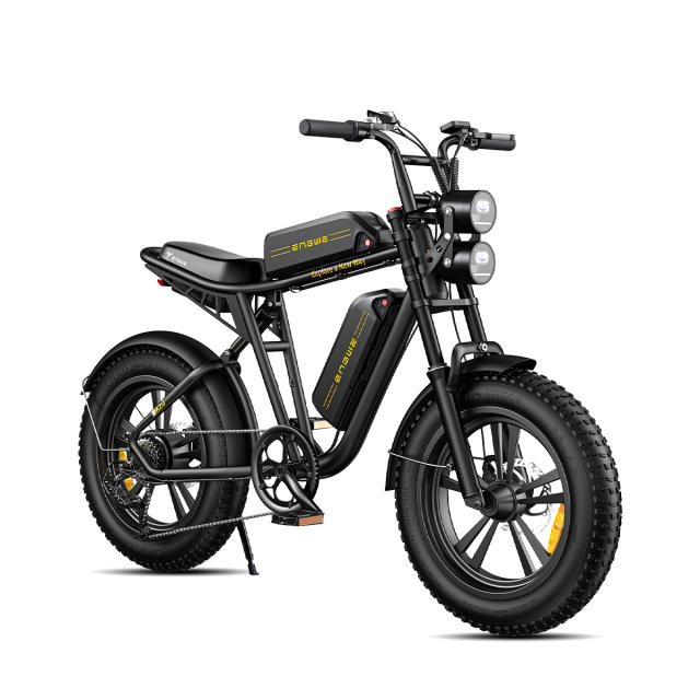 ENGWE M20 750W Motorcycle Electric  Mountain Bike
