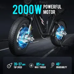 Electric Bicycle Samebike M20-III 2000W