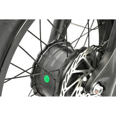 Electric Bicycle Samebike M20-III 2000W