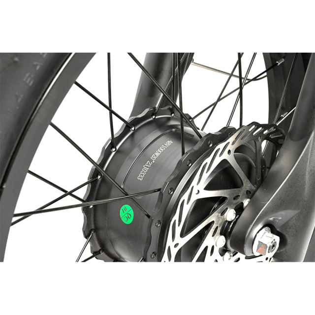 Electric Bicycle Samebike M20-III 2000W