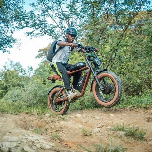 Electric Bicycle Samebike M20-III 2000W