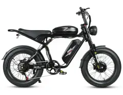 Electric Bicycle Samebike M20-III 2000W
