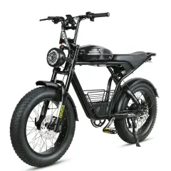 Electric Bicycle Samebike M20-III 2000W