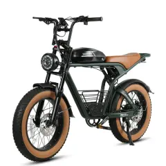 Electric Bicycle Samebike M20-III 2000W
