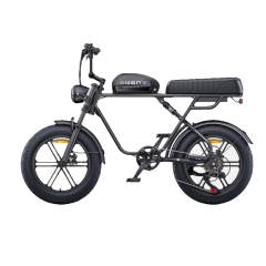 Engwe M1 250W Electric Motorcycle Style Bike
