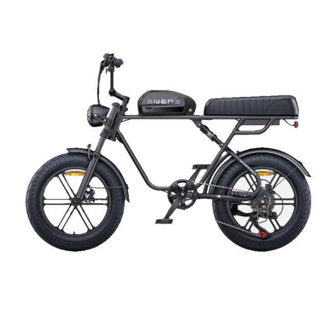 Engwe M1 250W Electric Motorcycle Style Bike