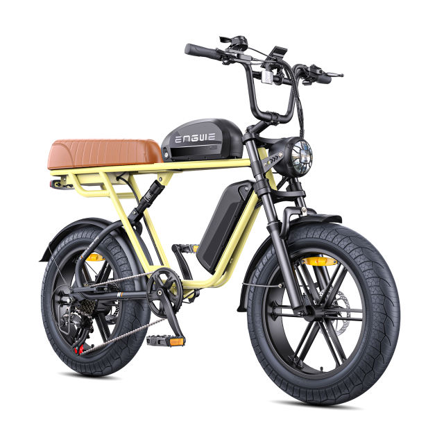Engwe M1 250W Electric Motorcycle Style Bike