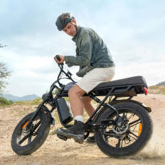 Engwe M1 250W Electric Motorcycle Style Bike
