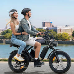 Engwe M1 250W Electric Motorcycle Style Bike