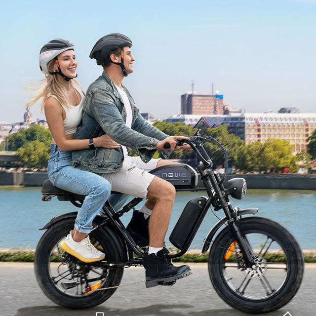Engwe M1 250W Electric Motorcycle Style Bike