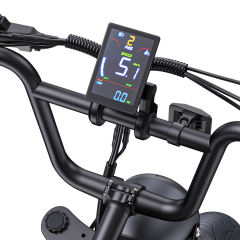 Engwe M1 250W Electric Motorcycle Style Bike