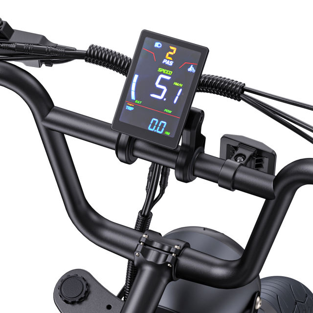 Engwe M1 250W Electric Motorcycle Style Bike