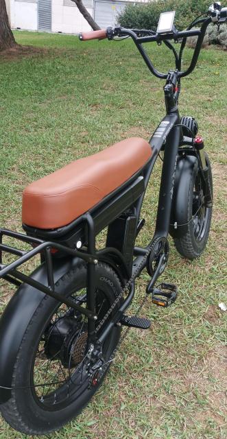 Bicicleta Elétrica Gogobest GF750 1000w ou 2000w