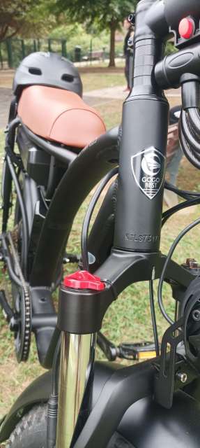 Bicicleta Elétrica Gogobest GF750 1000w ou 2000w
