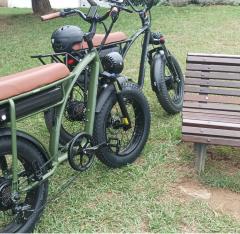 Bicicleta Elétrica Gogobest GF750 2000w