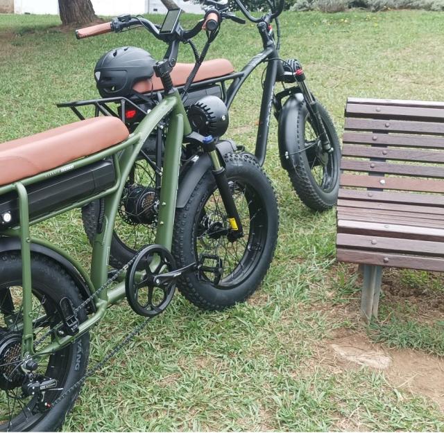 Bicicleta Elétrica Gogobest GF750 2000w