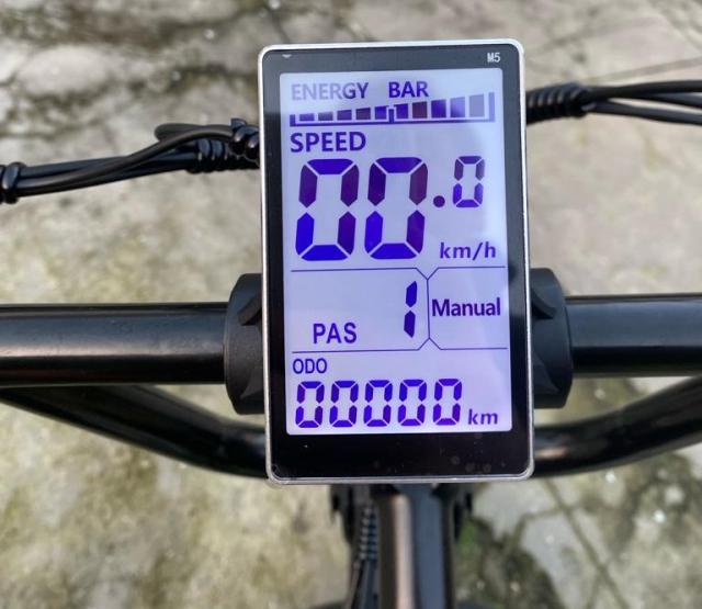 Bicicleta Elétrica Gogobest GF750 1000w ou 2000w