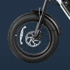 Bicicleta elétrica EAHORA LUNA 2 1000W Motor Duplo