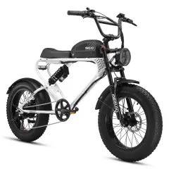 Bicicleta Elétrica MEELOD DK300 PLUS 1200W Fat Tire E-Bike | 80-160KM Long Range
