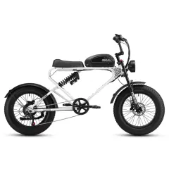 Bicicleta Elétrica MEELOD DK300 PLUS 1200W Fat Tire E-Bike | 80-160KM Long Range