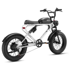 Bicicleta Elétrica MEELOD DK300 PLUS 1200W Fat Tire E-Bike | 80-160KM Long Range