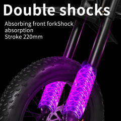 Electric Bike HEZZO D5 3000W 30Ah