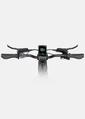 Biciclete elétrica ENGWE L20 3.0 Pro 250w