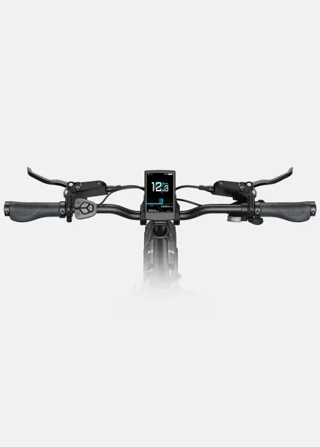 Biciclete elétrica ENGWE L20 3.0 Pro 250w