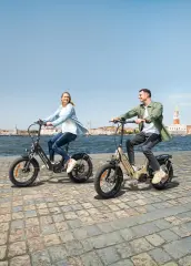 Biciclete elétrica ENGWE L20 3.0 Pro 250w