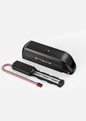 Engwe Battery's