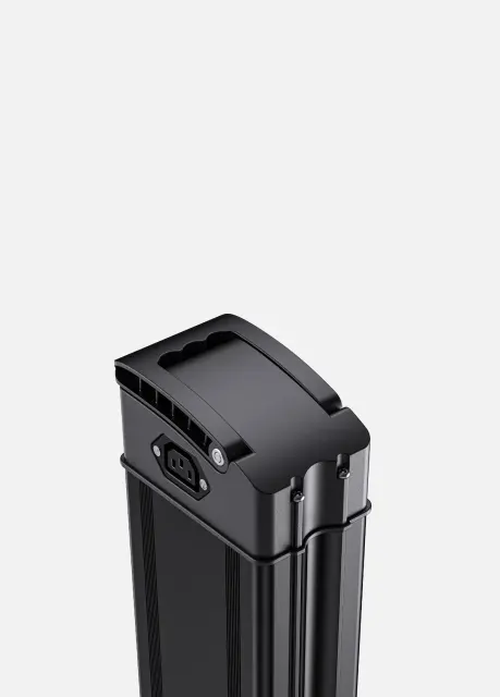 Engwe Battery's