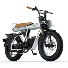 Electric Bike COSWHEEL CT20 1500W 20