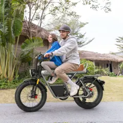 Electric Bike COSWHEEL CT20 1500W 20