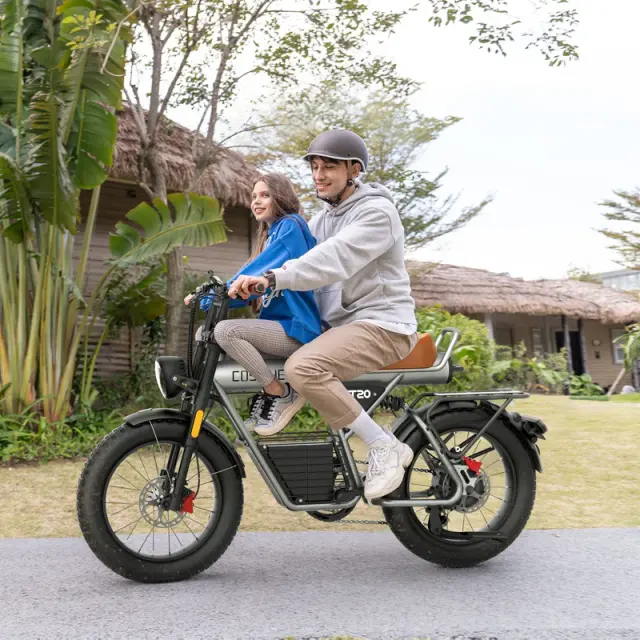 Electric Bike COSWHEEL CT20 1500W 20