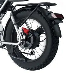 Electric Bike COSWHEEL CT20 1500W 20