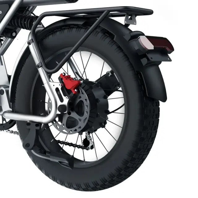 Electric Bike COSWHEEL CT20 1500W 20
