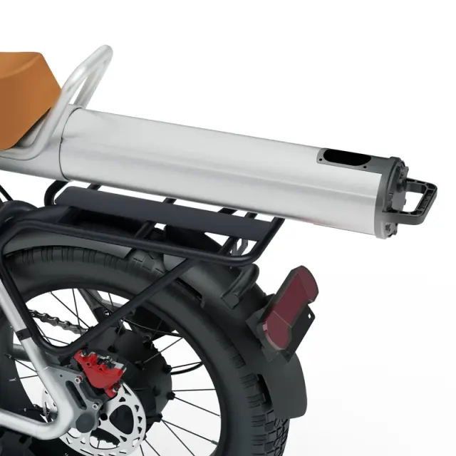 Electric Bike COSWHEEL CT20 1500W 20