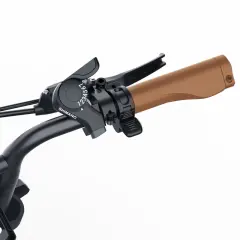 Electric Bike COSWHEEL CT20 1500W 20