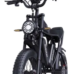 Electric Bike Ridstar YVY C20 Max 2000W Motor 52V 40AH Battery 20