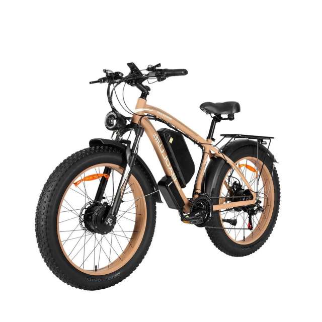 Electric Bike Baolujie DP2602 2000w 26