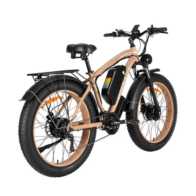 Electric Bike Baolujie DP2602 2000w 26