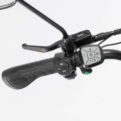 Electric Bike Ridstar YVY C20 Max 2000W Motor 52V 40AH Battery 20